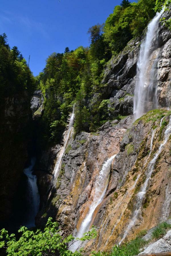 Pension Edelweiss Top21 Gosau Exterior photo
